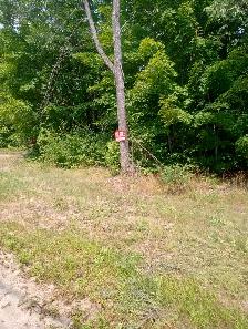 Recreational Property - Photo 7