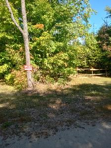 Recreational Property - Photo 9