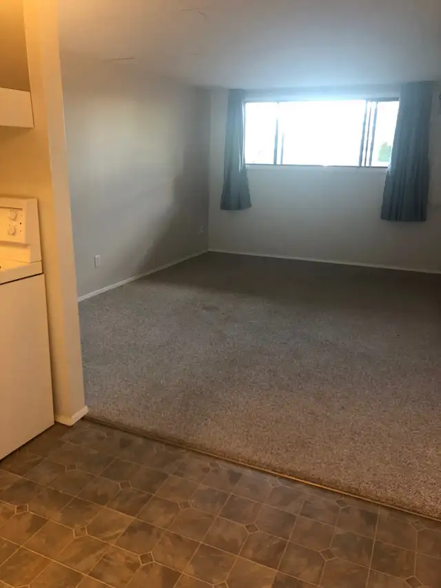 MAIN FLOOR – 1 BDRM – CAT FRIENDLY - Photo 3