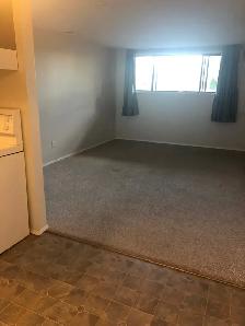 MAIN FLOOR – 1 BDRM – CAT FRIENDLY - Photo 3