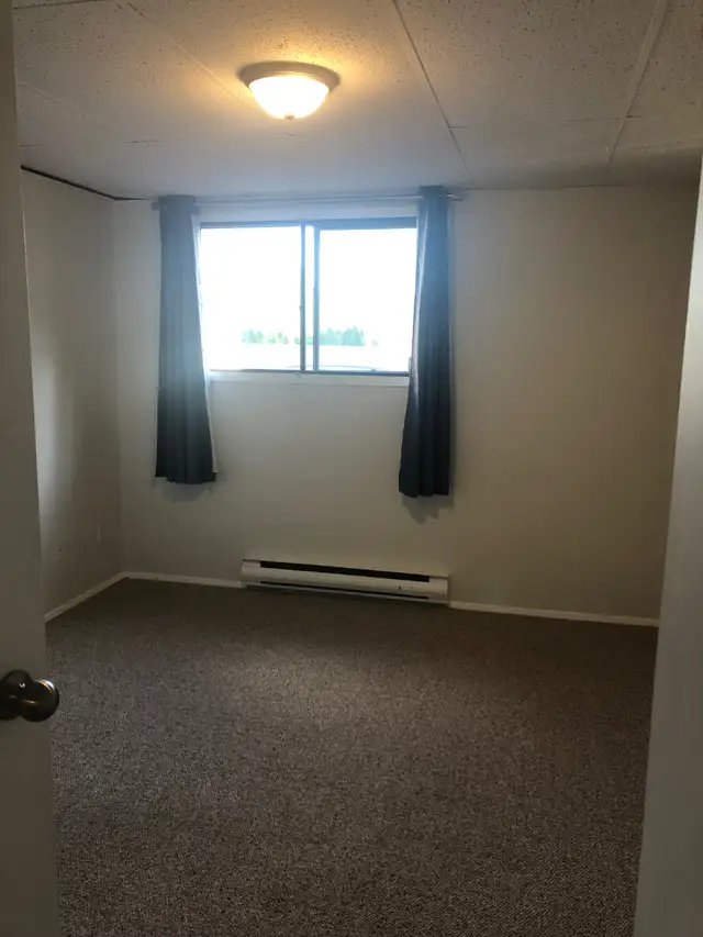 MAIN FLOOR – 1 BDRM – CAT FRIENDLY - Photo 9