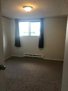 MAIN FLOOR – 1 BDRM – CAT FRIENDLY - Photo 9