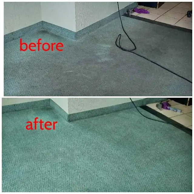 Complete House Carpet & Couch,Upholstery_Cleaning