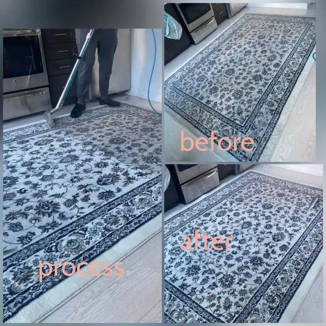 Complete House Carpet & Couch,Upholstery_Cleaning - Photo 5