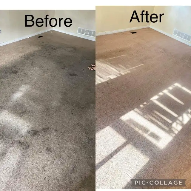Complete House Carpet & Couch,Upholstery_Cleaning - Photo 6
