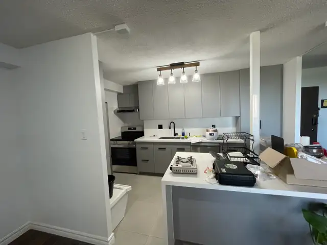 professional renovation - Photo 6