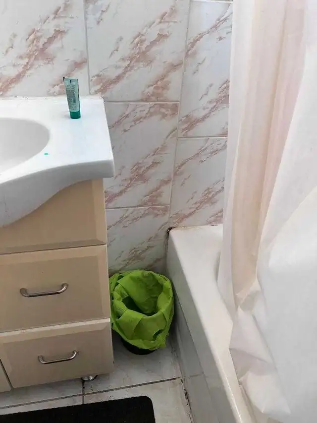 PRIVATE ROOM ( UPPERLEVEL) FOR RENT IN MALTON - Photo 4