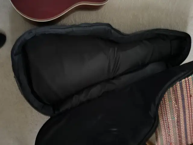 guitar and soft case