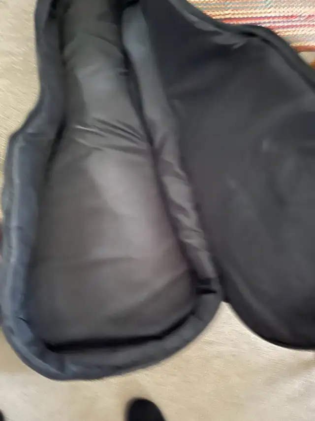guitar and soft case - Photo 3