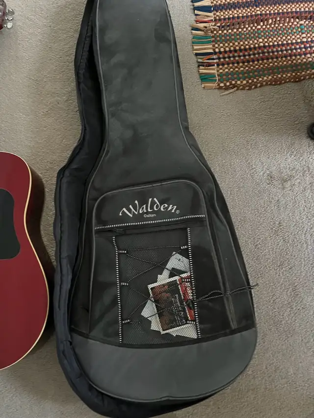 guitar and soft case - Photo 4