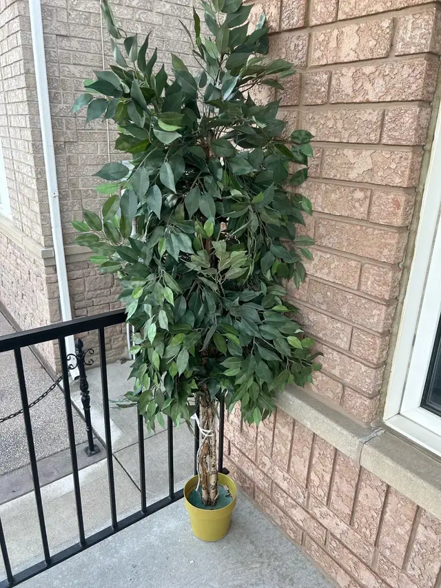 Artificial Plant