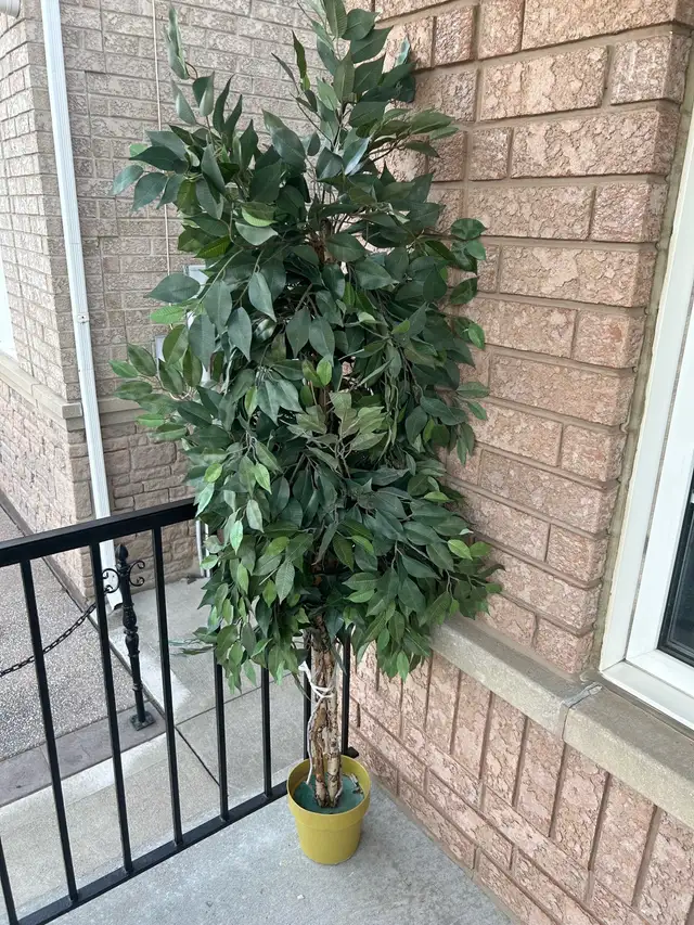 Artificial Plant - Photo 2