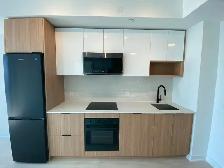 DT Toronto 1bed 1Den 1Bath Luxury Condo For Rent at 5 Defries St - Photo 2