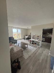 SUBLET – 2 Bedroom | 9th Floor | 800 Corydon Ave - Photo 3
