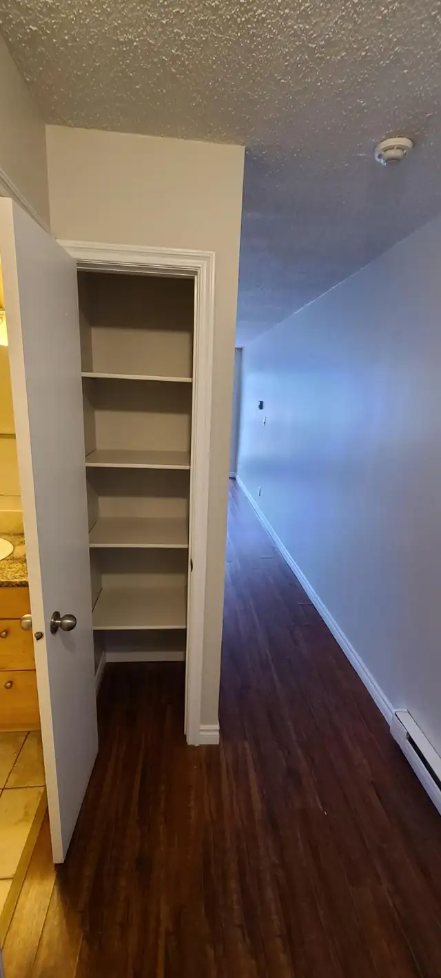 SPACIOUS – RENOVATED – PET FRIENDLY - Photo 3