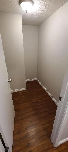 SPACIOUS – RENOVATED – PET FRIENDLY - Photo 4