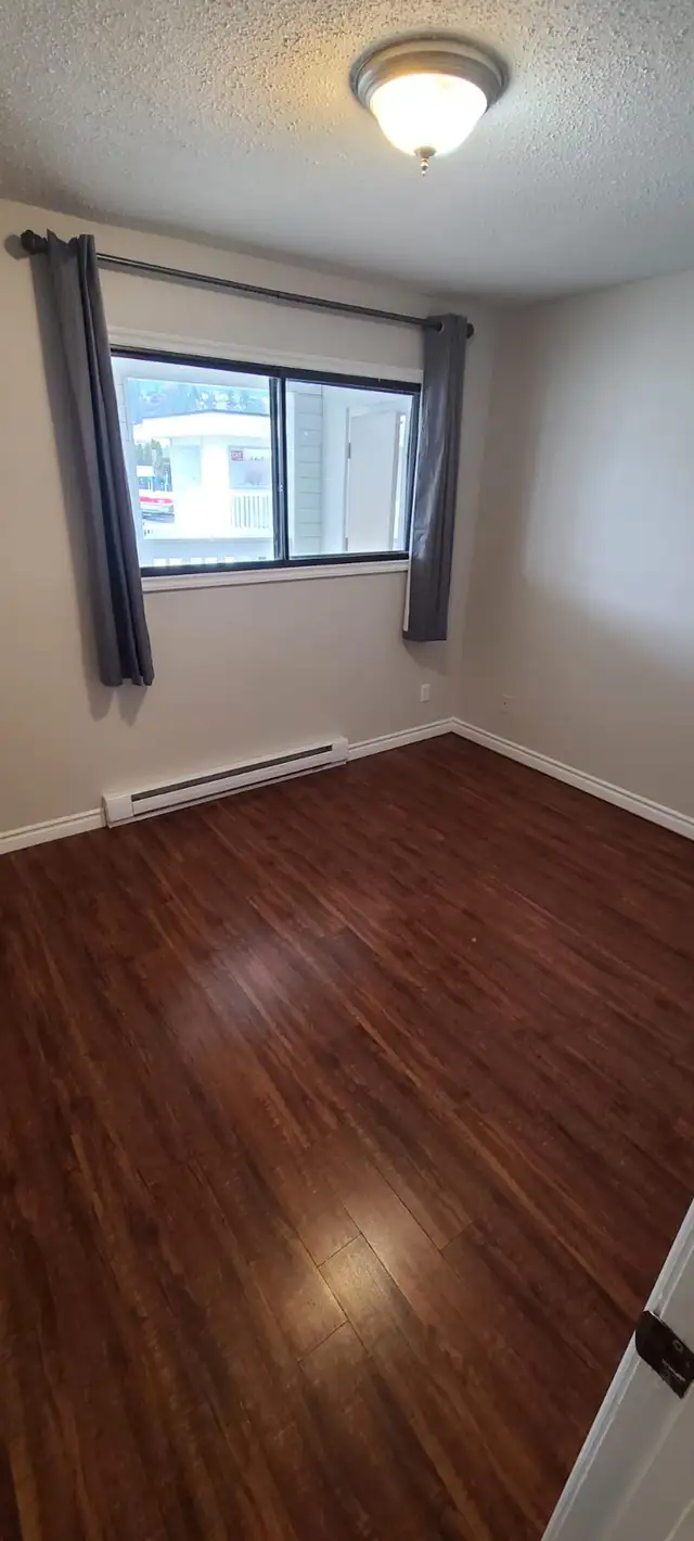 SPACIOUS – RENOVATED – PET FRIENDLY - Photo 8