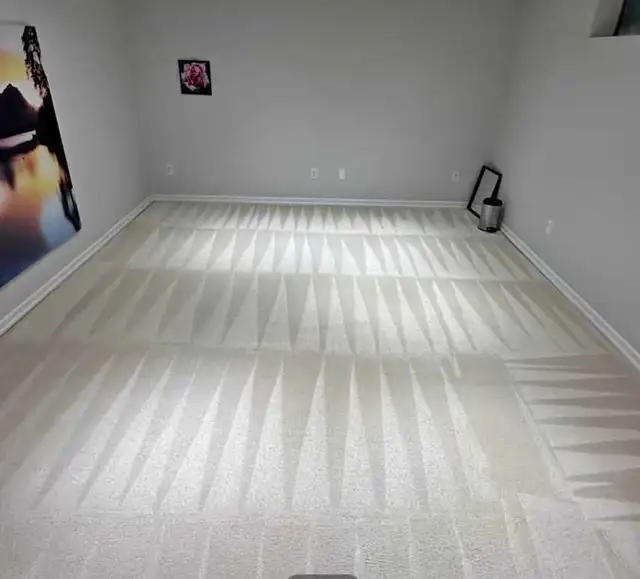 furnace duct cleaning and carpet shampoo steam cleaning - Photo 3