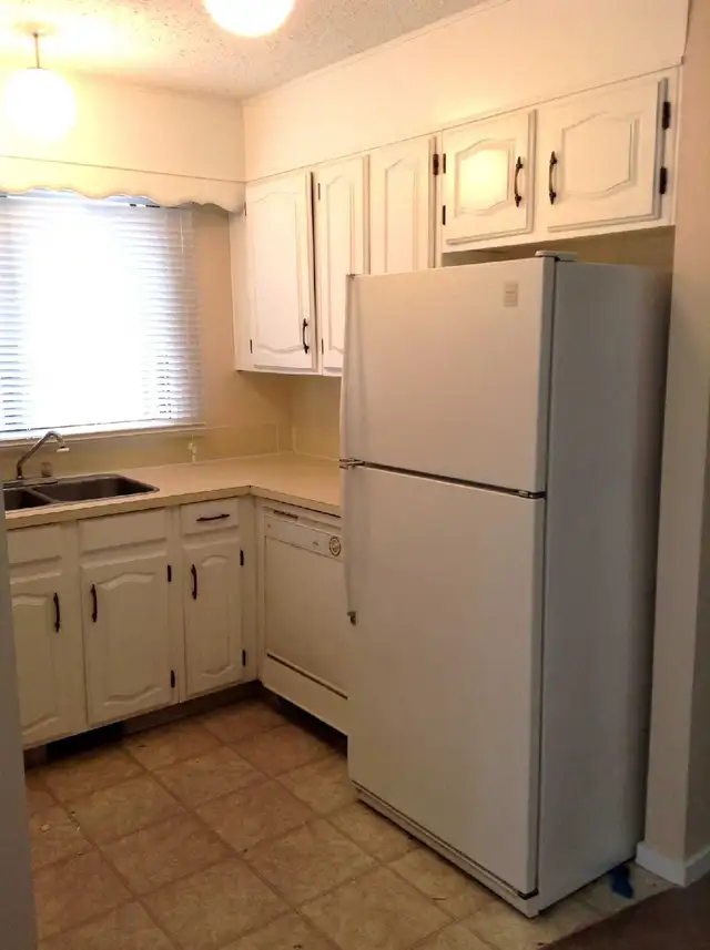Full house for rent in Falconridge NE — available June 1st - Photo 2