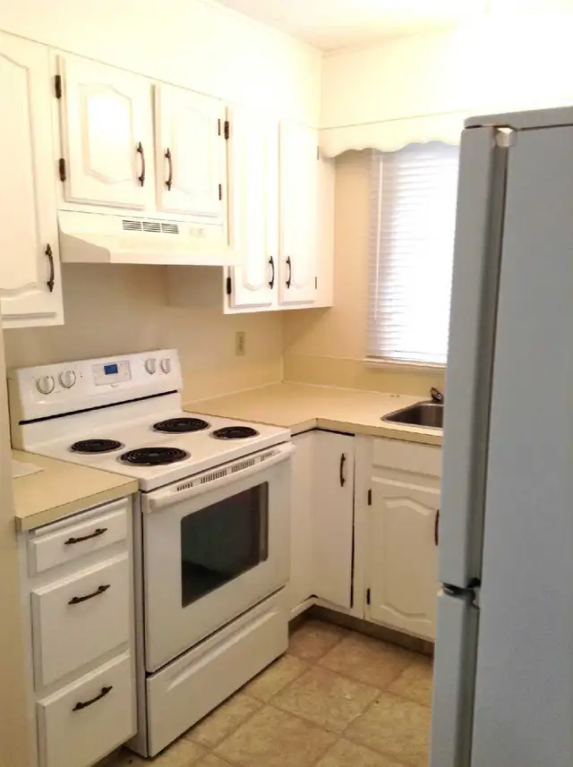 Full house for rent in Falconridge NE — available June 1st - Photo 4
