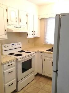 Full house for rent in Falconridge NE — available June 1st - Photo 4