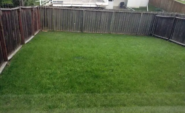 Full house for rent in Falconridge NE — available June 1st - Photo 7