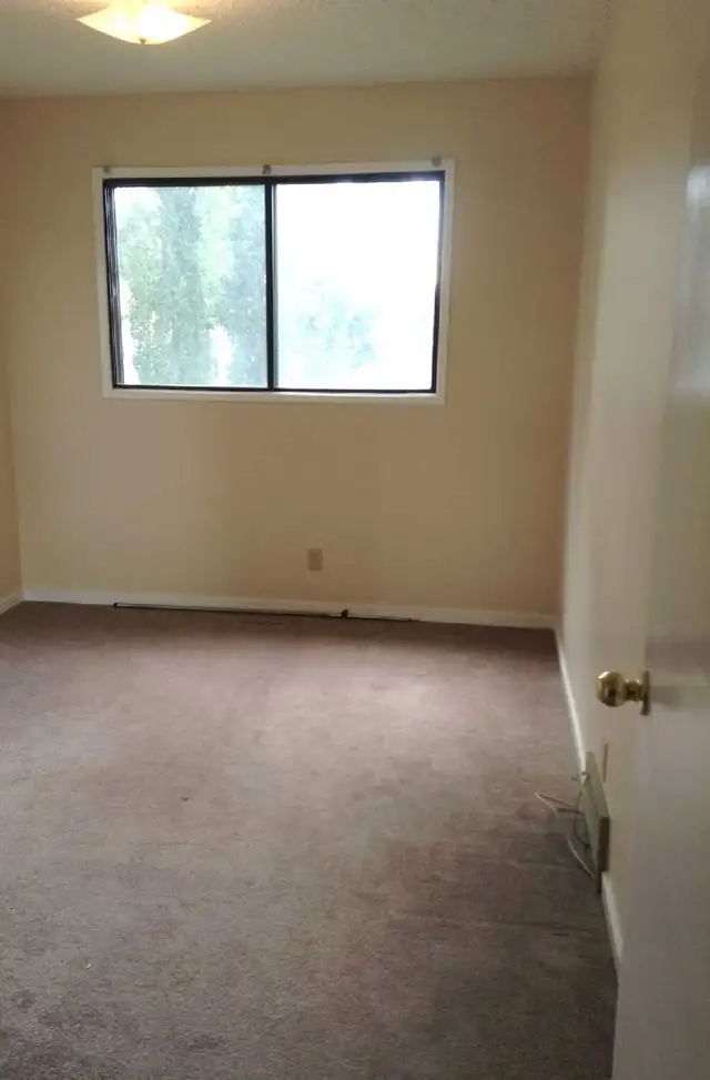 Full house for rent in Falconridge NE — available June 1st - Photo 10