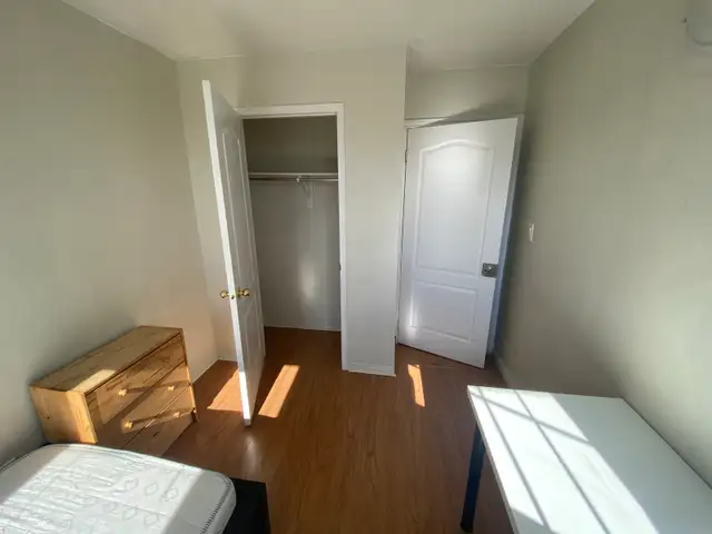 York University village room for rent - Photo 3