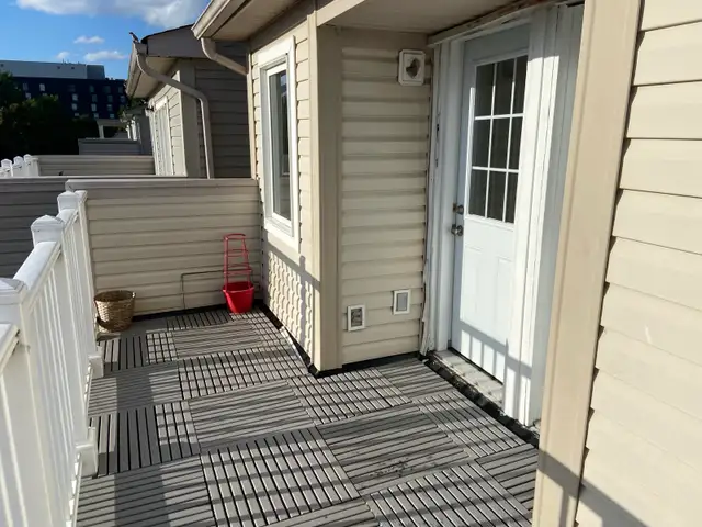 York University village room for rent - Photo 4