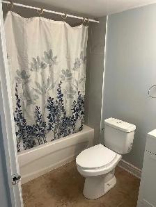 Large 2 bedroom basement available, RENT NEGOTIABLE - Photo 5