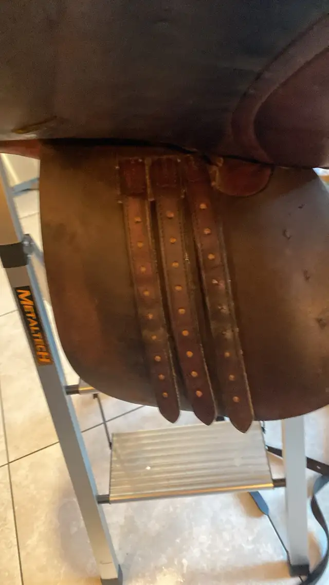 selle Crosby excel 161/2 et autres articles a suivre a vendre - Photo 5