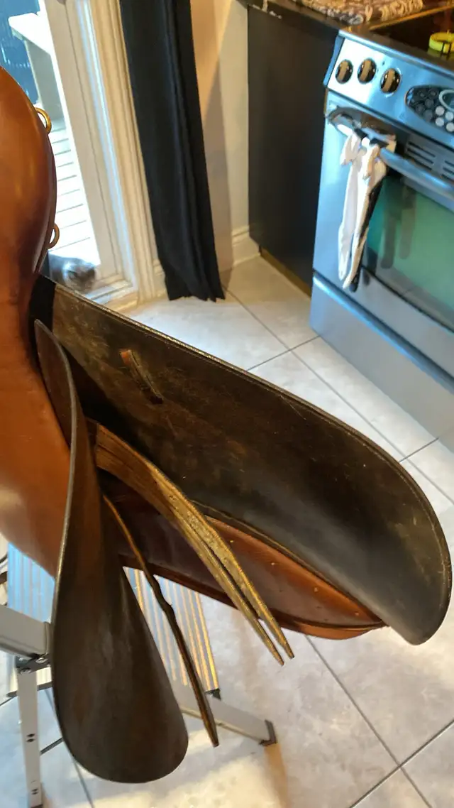 selle Crosby excel 161/2 et autres articles a suivre a vendre - Photo 7