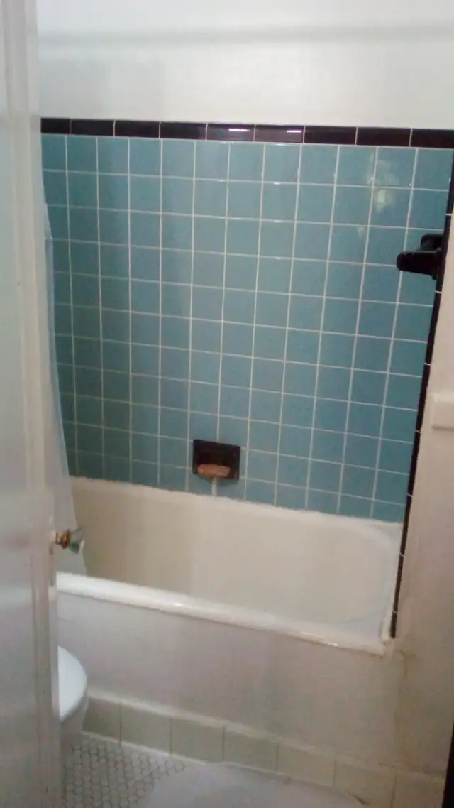 Jackson Park. Large One Bedroom Apartment. $1200 - Photo 3