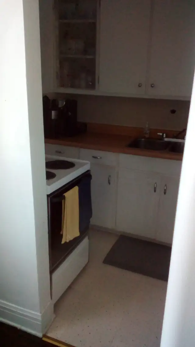 Jackson Park. Large One Bedroom Apartment. $1200 - Photo 6