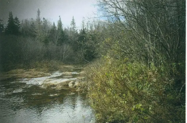 Now is the time to Invest in Raw land while the prices are still - Photo 2