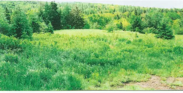 Now is the time to Invest in Raw land while the prices are still - Photo 3