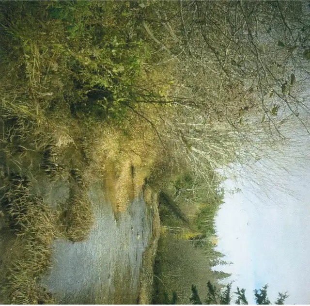 Now is the time to Invest in Raw land while the prices are still - Photo 5