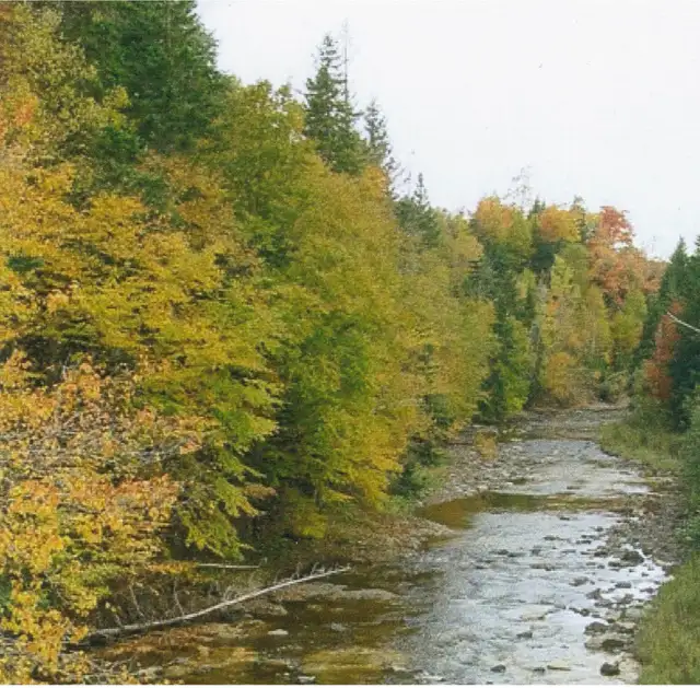 Now is the time to Invest in Raw land while the prices are still - Photo 7