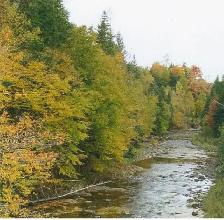 Now is the time to Invest in Raw land while the prices are still - Photo 7