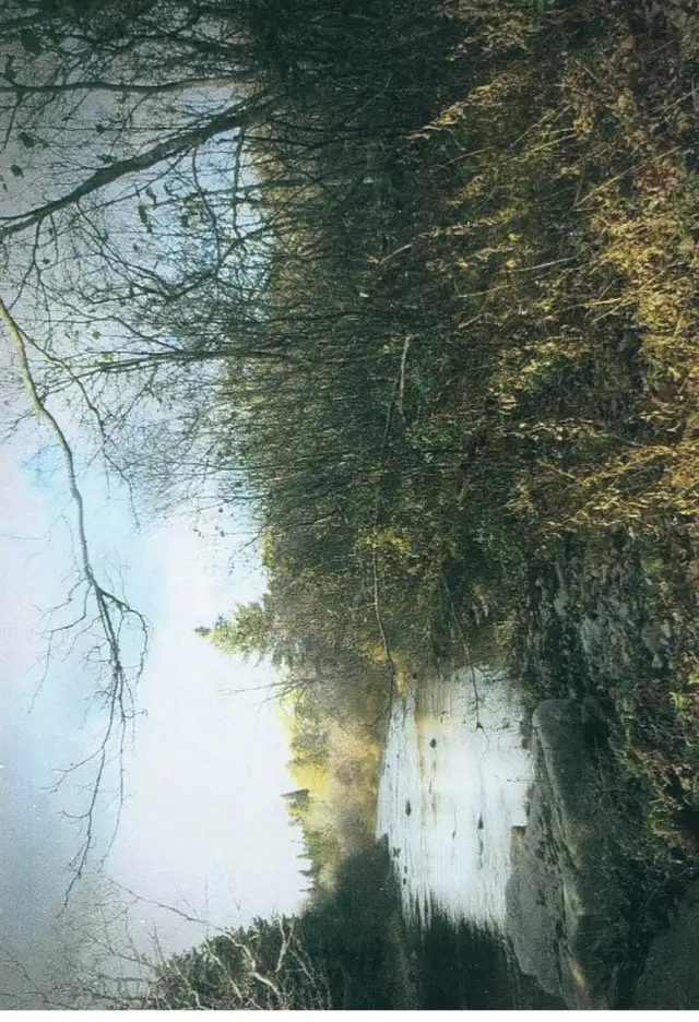 Now is the time to Invest in Raw land while the prices are still - Photo 8