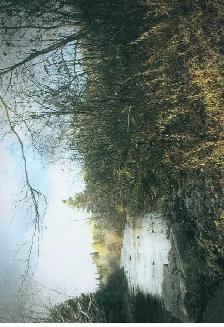 Now is the time to Invest in Raw land while the prices are still - Photo 8