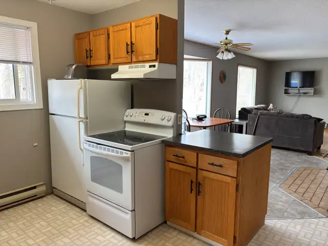 Two Houses / Cabins for sale - Photo 8