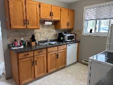 Two Houses / Cabins for sale - Photo 9