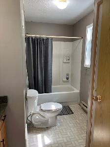 Two Houses / Cabins for sale - Photo 10
