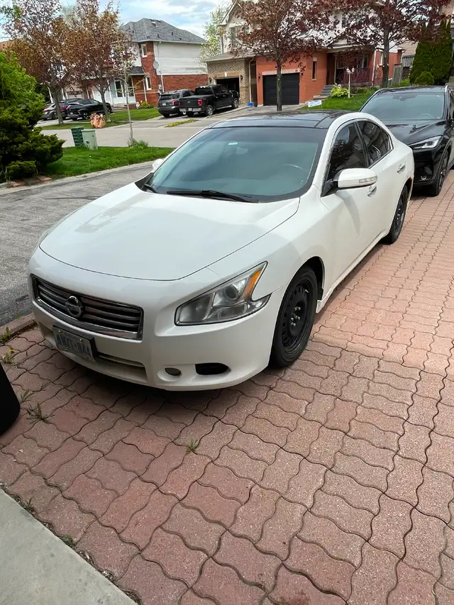 2012 Nissan Maxima - Daily Driver