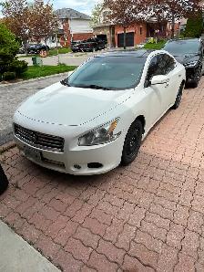2012 Nissan Maxima - Daily Driver