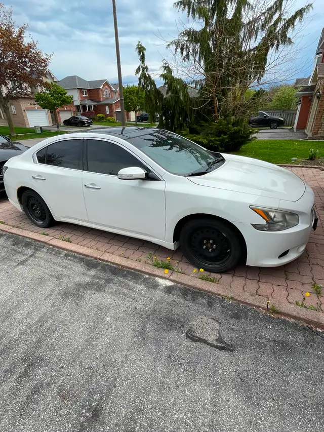 2012 Nissan Maxima - Daily Driver - Photo 2