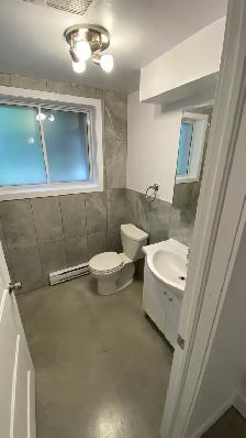 3 1/2 - A LOUER - RÉNOVÉ - MONTRÉAL- NORD 1000$ - Photo 3