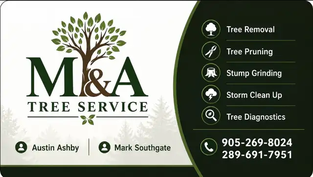Tree Work