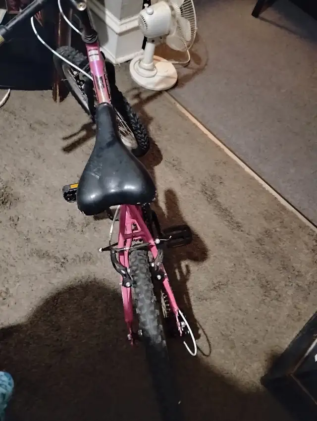 Kids mountain bike